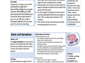 Health and Prevention unit RSE PSHE