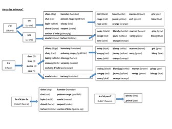 Pets and colours sentence builder accès studio