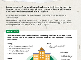 Cutting carbon emissions - school audit for KS3