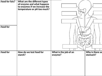 KS3 - Digestion Knowledge Organiser