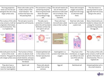 Specialised Cells Card Sort: GCSE Detail