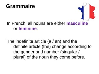 Nouns (Genders and Definite and Indefinite Articles)