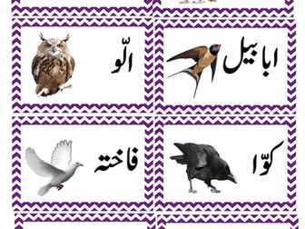 urdu flashcards