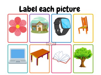 Fun FREE Flashcards: Label these Pictures (P1) | Print POSTER & Learn More Vocab