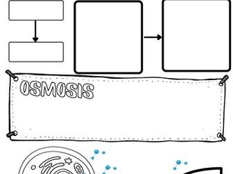 diffusion and osmosis doodle notes