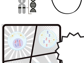 Mitosis doodle notes