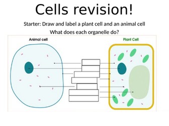 AQA B1 Cell Biology revision lesson