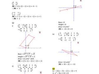 The Determinant of a Matrix Worked Solutions