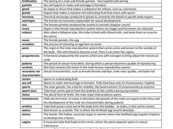 Unit 3, 4 & 5 glossary and word games