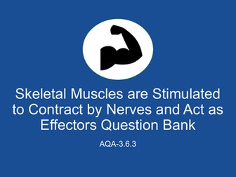 AQA A Level Biology- Skeletal Muscles are Stimulated to Contract by Nerves Question Bank (3.6.3)