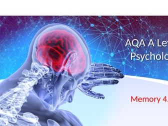 AQAA Level Psychology Memory - WMM
