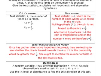 Erica's Errors On Hypothesis Testing