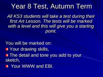 Year 8 Observational Drawing Assessment