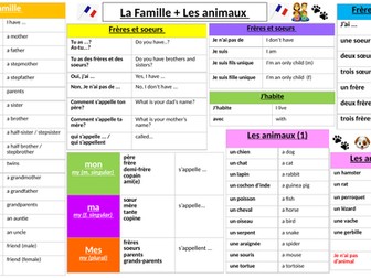 Knowledge organiser French -KS3 'La famille et les animaux'