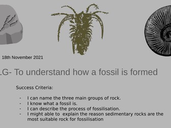 Fossil formation  PPt and worksheet
