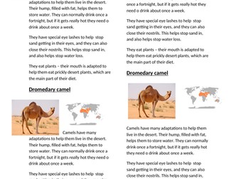 Animal Habitats game/interactive lesson