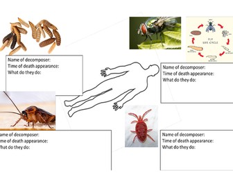 Activate 3 - B3 - Detection in Biology -  Time of Death