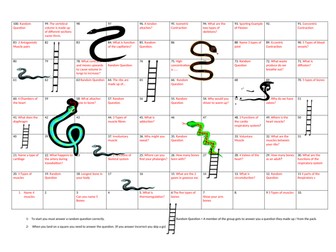 Snakes & Ladders