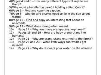 White Band Guided Reading Questions