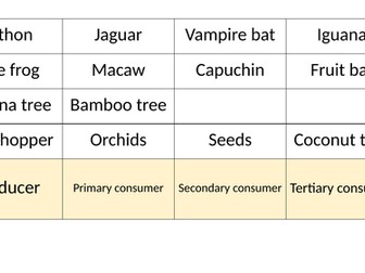 Rainforest Food Web Game