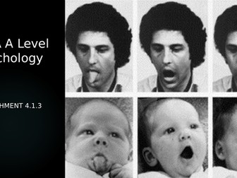 AQA A Level Psychology Attachment - stages of attachment and 'Strange Situation'