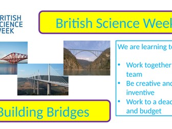 STEM Activity Building Bridges