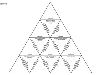 Vocabulary Puzzle 1- KS2, 11+, Home Education