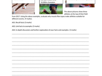 Muscle fibre types: differentiated long answer questions