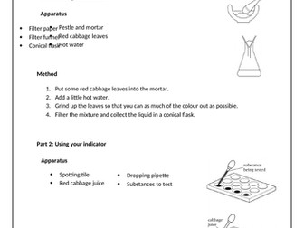 KS3 Science Red Cabbage Indicator