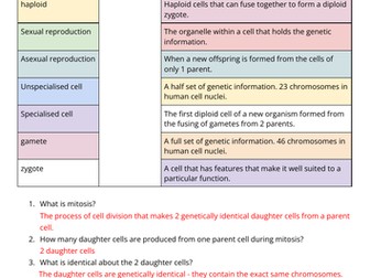 B1 Cell Cycle and Stem Cells: Edexcel Summer 2022 Exam Prep Lesson SUPPORT