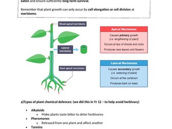 A level Plant Resposes