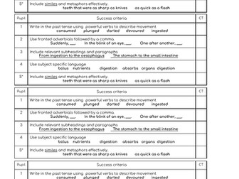 Journey through the digestive system: word bank, sentence starters and success criteria