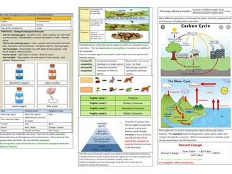 21st Century Biology - B3  - Living Together: Food and Ecosystems Knowledge Organisers