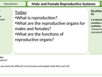 Female and male reproductive systems