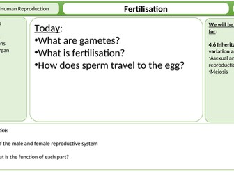 Fertilisation