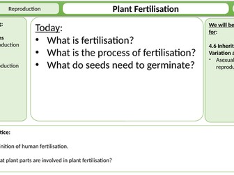 Plant Fertilisation