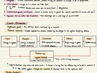 Homeostasis & hormones