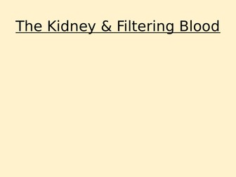The Kidney and Filtering Blood