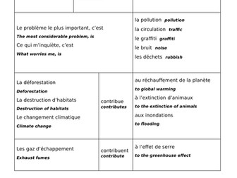 GCSE Environment Sentence Builders