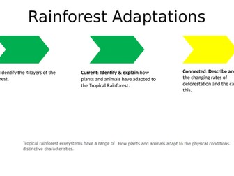 Tropical Rainforest Plant & Animal Adaptations - AQA GCSE