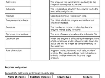 Enzyme Action and pH CorePrac Review Lesson: GCSEs Summer 2022
