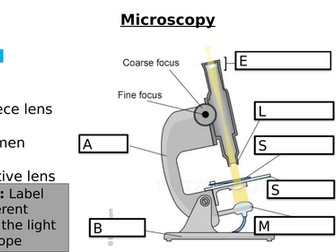 AQA GCSE Biology - B1 Cells and Organisation - PowerPoint pack