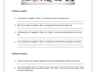 Les animaux / Pets and animals