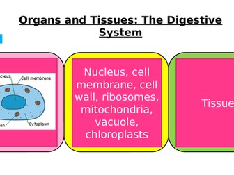 AQA GCSE Biology - B3 Organisation and Digestion - PowerPoint pack