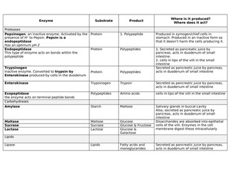 WJEC Unit 2 Enzyme overview sheet