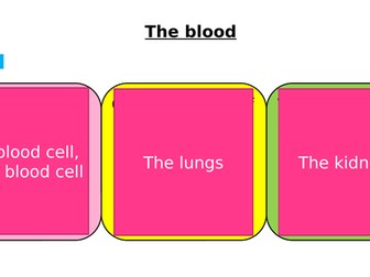 AQA GCSE Biology - B4 Organising Animals and Plants - PowerPoint pack