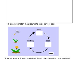 Year 2 Science Plants Pre / Post Quiz