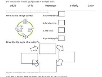 Animals including Humans Pre / Post Quiz Year 2 Science