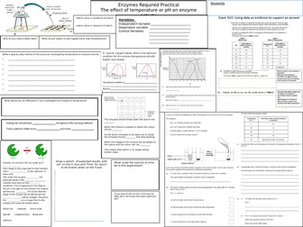 Enzymes GCSE Required Practical Biology