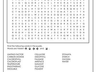 Photosynthesis word search